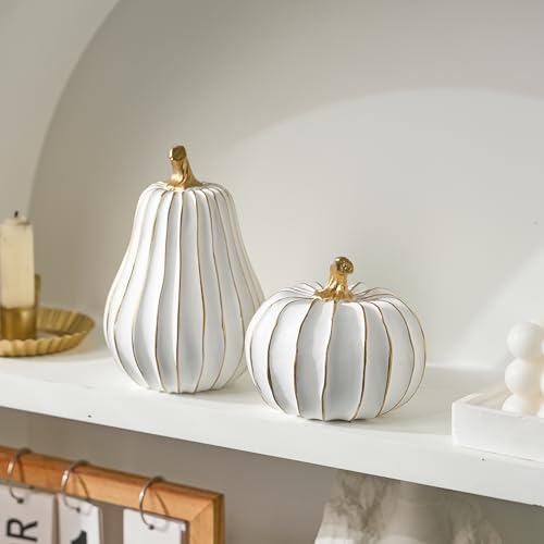 Image of FESTGLOX Pumpkin Fall Decor, White Gold Pumpkin for Thanksgiving Decoration