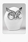 Deko-Eule weiss-silber 15x19cm aus weiss-glasierter Keramik mit silbernen Elementen, handgefertigt