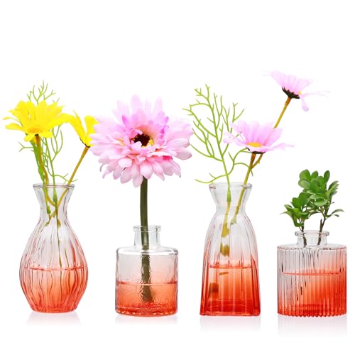 Glass Bud Vases Set of 4 Small Orange Flower Vases for Wedding Centerpiece