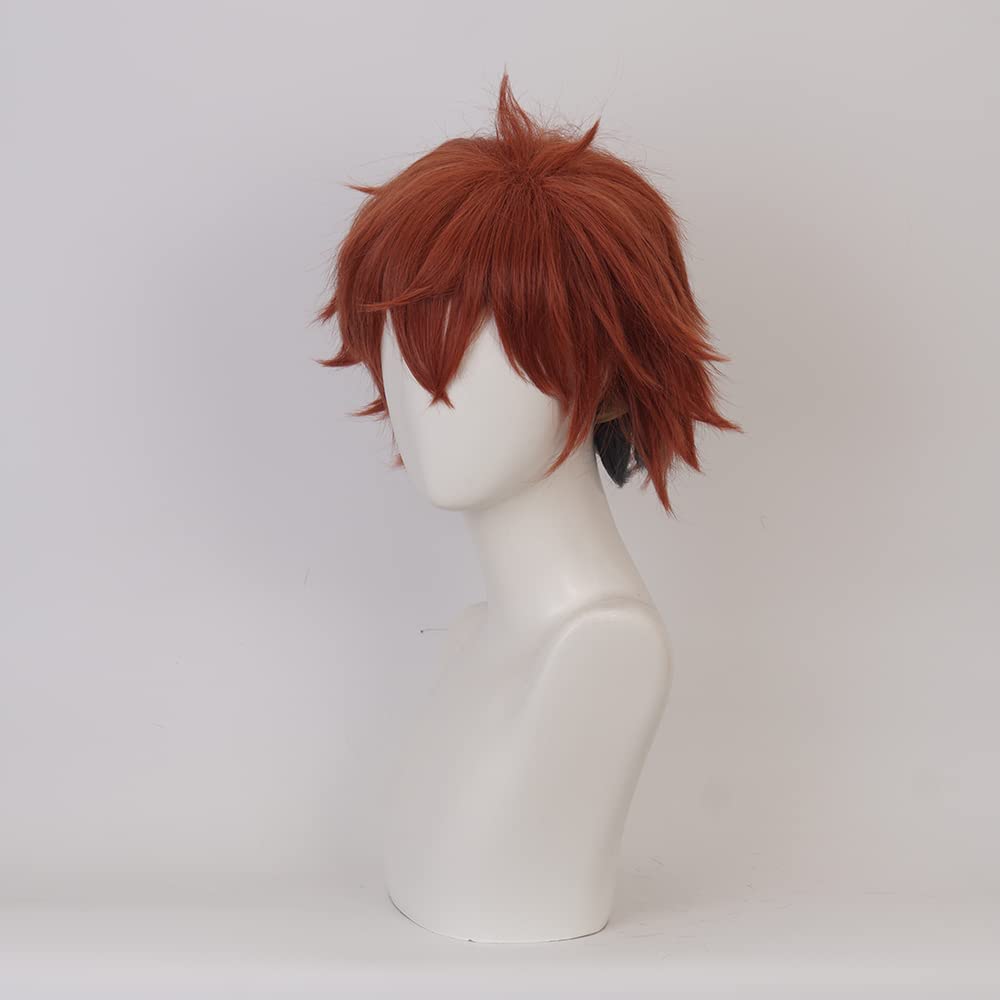 Red Brown Short Wig for Anime Costume with Heat Resistant Synthetic Universal Hairs for Men Halloween Family Cos Make Up Party - Image 4