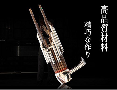Amazon | Waymall 笙（しょう）入門セット 17本簧 手作り バッグ付き
