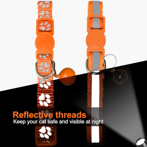 TagME 2er Pack Katzenhalsband mit Namen und Telefonnummer, Katzenhalsband mit Sicherheitsverschluss und glöckchen, 18-31 cm für Katzen, Orange
