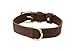 Ellie Dog Wear - Luxury 100% Full Grain Leather Dog Collar with Saddle Leather Wax Coating & Brass Plated Parts - Size Large Dog Collar - Premium Dog Collars & Accessories (L)
