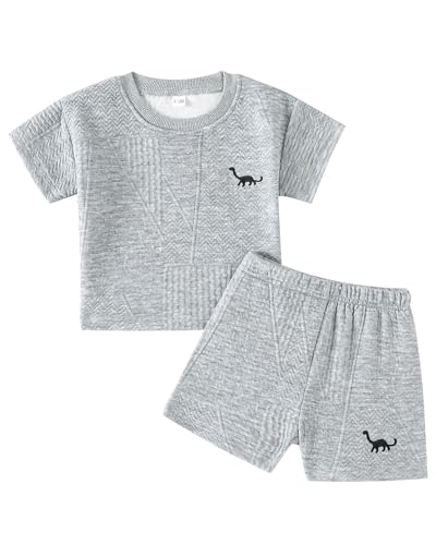 Rosibel Baby Boys Clothing Toddler Boys Summer Clothes Set 2PCS T Shirt and Shorts Outfit 12-18 Months Grey