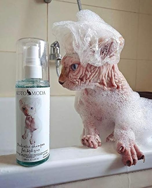 Probiotic Shampoo for Sphynx Cats (4.22)-wzuLaocc
