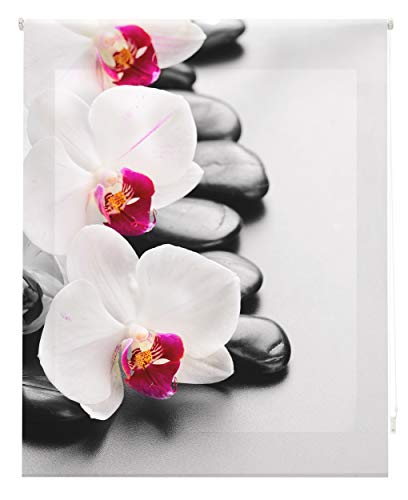 Blindecor Estor enrollable translúcido digital, Zen,W-Z-81465,160X180 cm