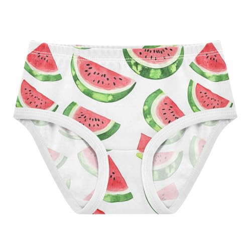 Wusikd Watercolor Red Girls' Underwear Cotton Red Watermelon Girls Briefs Soft Toddler Underwear 2T