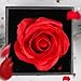 Imagen de MOOKLIN ROAM Juego de Rosas Eternas