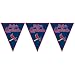 "St. Louis Cardinals Major League Baseball Collection" Pennant Banner, Party Decoration