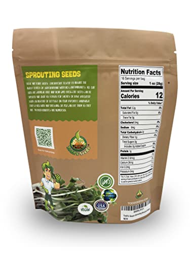 Todd’s Seeds - Sprouting Broccoli Seeds - Calabrese Variety, Non-Gmo, Heirloom - 1 Pound - Bulk Seeds #TOP1