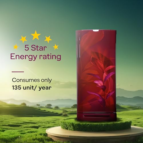 Image of Godrej 234 L 5 Star 5 Years Comprehensive Warranty Hygiene+ Inverter Technology 2.25L Bottle Space Direct Cool Single Door Refrigerator (RD EDGEPRO 255E TAI MN WN, Marine Wine)