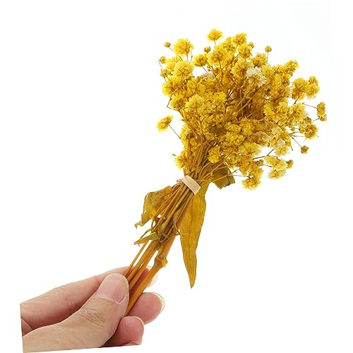 Paquete de 3 Ramilletes de Flor Secas Babys Breath miniatura 3