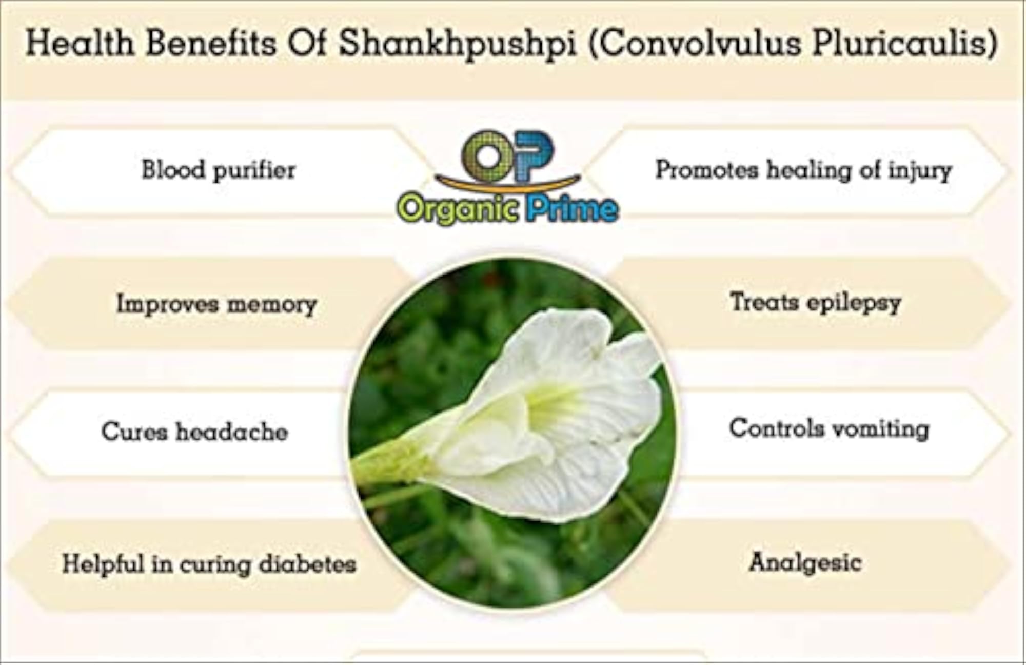 Organic Shankhpuspi Powder, 200 GM