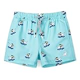 SURF CUZ Boys Swim Trunks Toddler Swim Shorts UPF 50+ Bathing Suit for Boy Swimsuit...