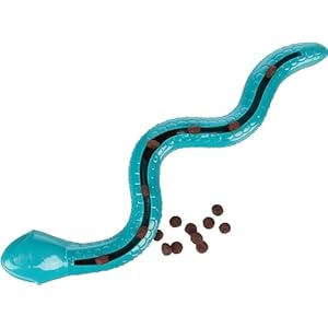 Flamingo Jouet pour Chiens Sneaky Snake Turquoise – 42×10,5x5cm – avec friandises – Résistant et Amusant pour Jeux de Lancer et de Mastication