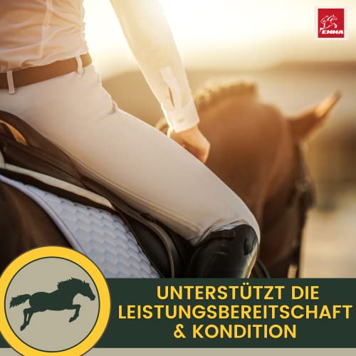 Selen für Pferde – Hochdosiertes Vitamin E und Lysin Liquid