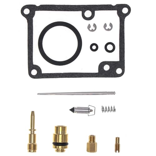 Kit réparation carburateur Blaster YFS200 pour vos sorties