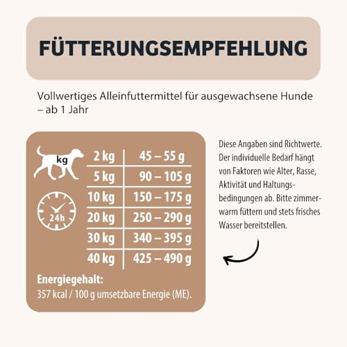 BugBell 800g HighSensitive - Premium Trockenfutter mit Insekten - Hypoallergen Sensitiv Futter für Hunde - Unverträglichkeit & Allergie mit 5 Zutaten - Schonkost Hundefutter trocken für Ausschlussdiät – Bild 7