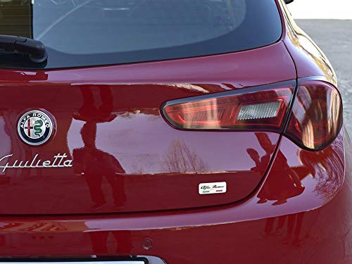 Esterno Copertura in Acciaio per Alfa_Romeo