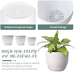 10/9/8 pouces Pots de plantes, 3 Pack Pots de fleurs en plastique Pots modernes de fleurs avec trous de drainage et des plateaux sont pour les plantes intérieures et extérieures, Herbes et fleurs,Speckles blancs (blanc)