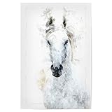 artboxONE Poster 30x20 cm Natur Weisses Pferd hochwertiger Design Kunstdruck - Bild Tier Animal Europa
