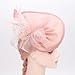 DRESHOW Women Fascinator Hats Tea Party Hat Vintage Pillbox Hat Headband for Cocktail