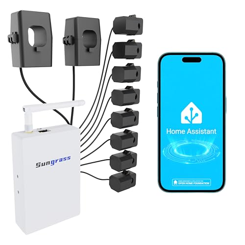 Home Energy Monitor for Real-Time Electricity Usage