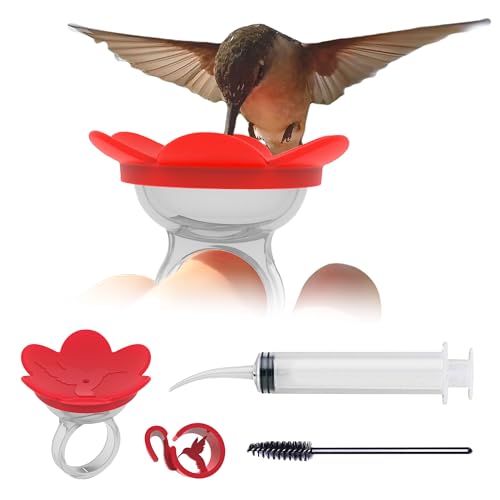 ZUMMR Hummingbird Ring Starter Kit (Red) - Hand Feed Hummingbirds Right in Your Backyard. Get up Close and Personal with Nature. Proudly Made in The U.S.A. - The Original
