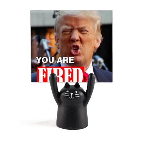 AJ̃gv̖ʔ{摜 J[gD[LX^h^z_[