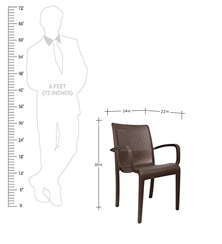 Image of Cello Ecstasy Elegant Set of 6 Chairs (Brown) | Strong and Durable | Easy to Clean | Chair for Living Room, Bed Room, Kitchen, Office Room, Outdoor | 3 Years Warranty