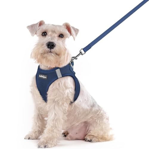 Image of rabbitgoo Dog Harness Medium Sized and Leash Set, Step-in Puppy Pet Vest