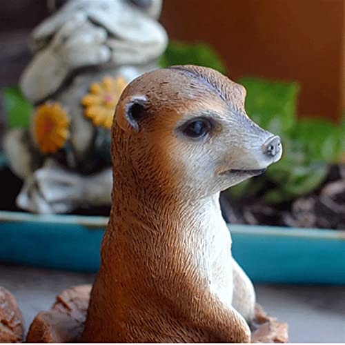 Simulation mangouste résine pour animer un jardin trop vide - 3