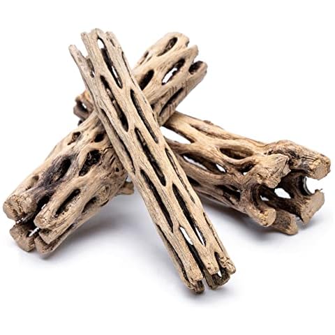 SubstrateSource Natural Cholla Wood Logs - Driftwood for Aquariums, Fish Tanks, Shrimp, Hermit Crabs, Reptiles - 4 and 6 Inch Pieces (4 Inch (5 Pack)) Cover