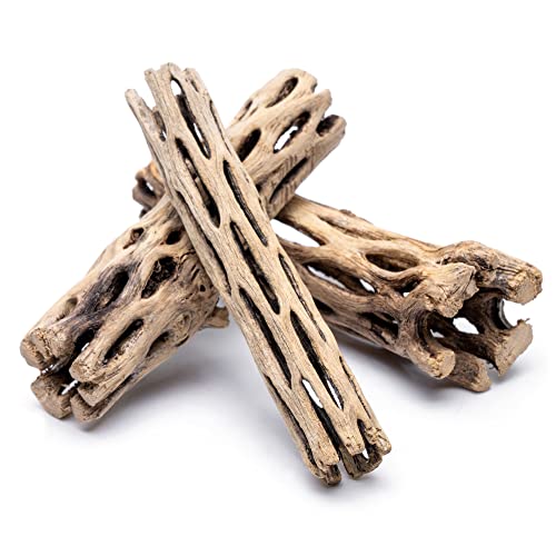 SubstrateSource Natural Cholla Wood - Driftwood for Aquariums