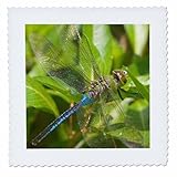 Square dimensions (in inches): 25 L x 25 W, image dimensions (in inches): 23 L x 23 W 100% poloyester; image is soft to touch. Made in USA Edges have pinking shear cut Image will not fade with washing. Image not a transfer, part of material