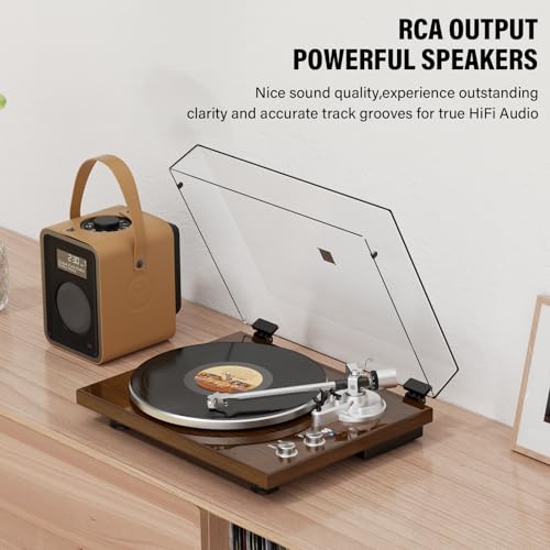 Manual Belt Drive Turntable