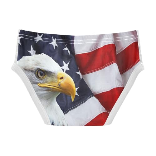 visesunny Boys Potty Training Underwear Eagle American Flag Breathe Cotton Briefs Size 2T-8Y for Toddler2