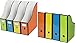 Simple Houseware 12-Pack Magazine File Holder Box, Foldable Cardboard Organizer with Label Slot, Multicolor