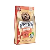 Happy Dog