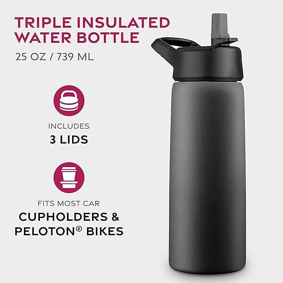 FineDine Dreifach isolierte Edelstahl-Wasserflasche, 750 ml