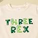 Toddler Boy 3rd Birthday Outfit Dinosaur Shirt Pants Three Years Old Shirts Outfits Boys 3 yr Birthdays Gift