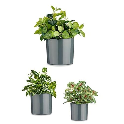 Set de pots de fleurs anthracite pour harmoniser vos plantes