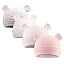 Bear-4pcs