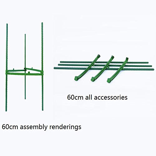ZHANGZHIYUA Plantas en jaulas Ensambladas Tomate Jaulas en el ...