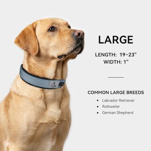 Image of Joytale Dog Collar for Large Dogs, Neoprene Padded and Adjustable, Reflective Wide Heavy Duty Pet Collars with Durable Metal Belt Buckle for Walking, Gray, L