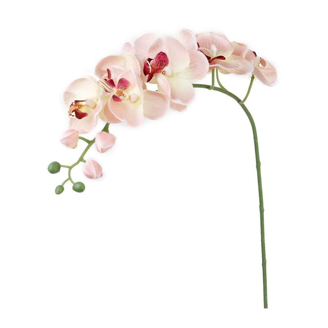 Tsawntd Artificial Orchid Flower Stem Silk Phalaenopsis Real Touch Simulation Butterfly Orchid Centerpieces Flowers Butterfly Flowers Artificial for Wedding