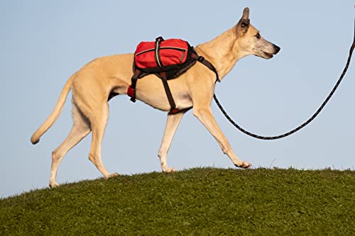 iEnergy™ GEM, 150cm Lange Führleine | Gepolsterte Hundeleine für große und mittlere Hunde | Reflektierend | Extrem leicht | Profi-Kletterseil
