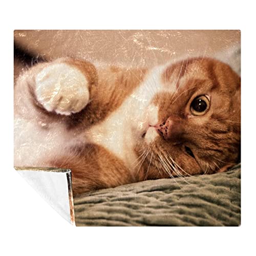 Couvertures chaudes et douces en microfibre TBOUOBT pour canapé