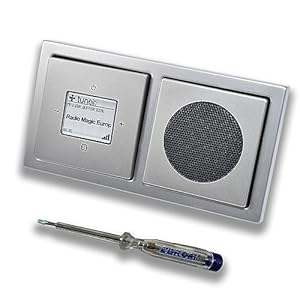 Busch Jäger iNet Radio Komplett-Set Edelstahl