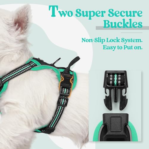 Image of rabbitgoo Dog Harness No Pull with 2 Leash Clips, Adjustable Soft Padded, Reflective Oxford No Choke Pet Vest with Easy Control Handle for Puppy, Black & Turquoise, XS